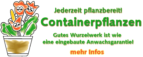 Containerpflanzen