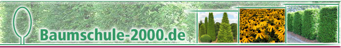 Baumschule-2000.de